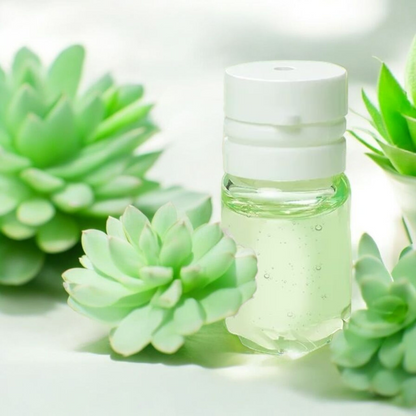 Huile démaquillante de camélia, infusée avec de l'extrait de camélia, de l'huile de jojoba et de l'essence d'avocat